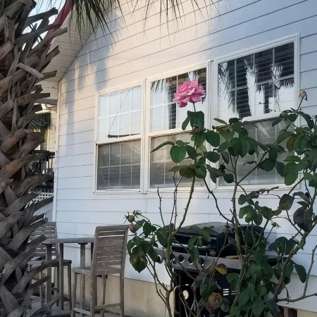 Beach Cottage - family and pet friendly, beach access less than 100ft away