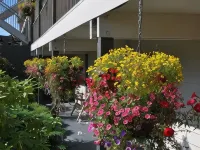 Pacific Rim Motel Hotels in Ucluelet