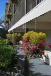 Pacific Rim Motel