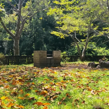 Sunny Side Cottage BBQ Campfire Around Nature