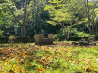 Sunny Side Cottage BBQ Campfire Around Nature