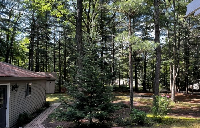Secord Lake Private Wooded Luxury Retreat