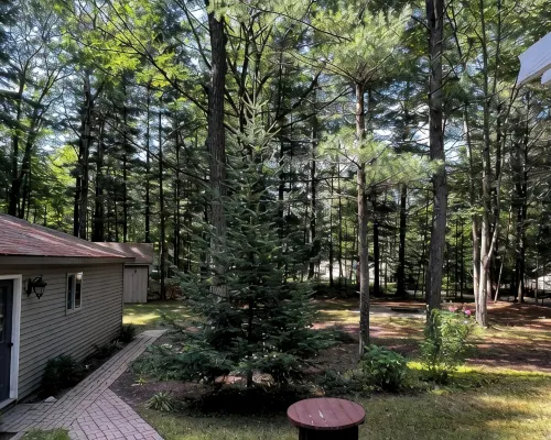 Secord Lake Private Wooded Luxury Retreat Hotels in Gladwin County