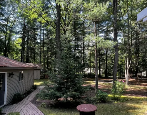 Secord Lake Private Wooded Luxury Retreat - 3-Star