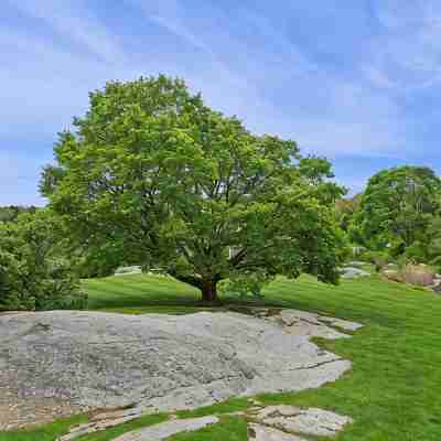 Cranberry Hill l 9 Br 22 Acre Estate l Sleeps 22 Hotel Exterior