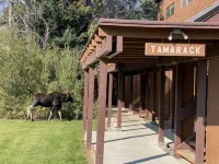 Tamarack condo/Jackson Hole - Wifi