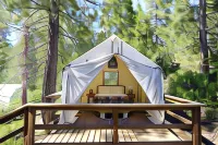 Shaver Lake Village Hotel - Wifi