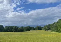 Pickwick Preserve Luxury Private Estate - 300 Acres on Pickwick Lake