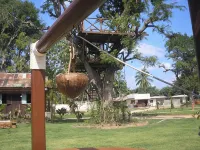 Tamarind Grand Resort Mae Sariang - Wifi