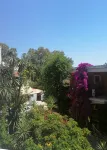 Sirena Beach - Ocean View
