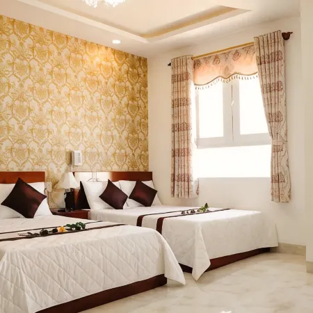 Phan Rang Hotel Отели в г. Фанранг