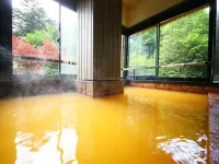 Yama No Yado Meiji Onsen - Kuumat lähteet