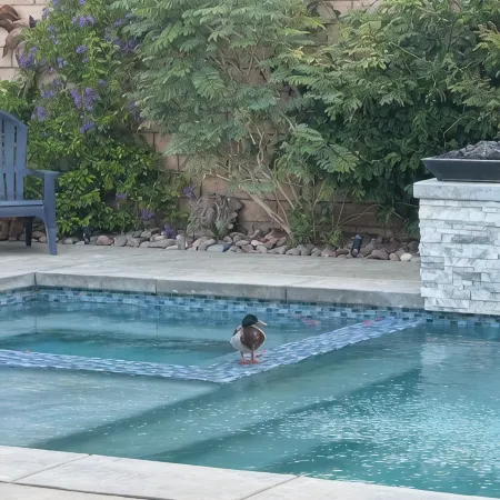 Desert Oasis  in Terra Lago Enjoy Coachella and Large Pool. All New Inside. AC