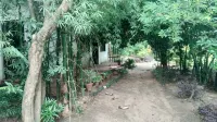 Tiger N Woods Resort - Wifi