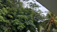 Dovass Apartment Seychelles - parkir