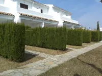 Apartamentos la Cova 3000 - Pet friendly