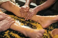 Kairali - the Ayurvedic Healing Village - spa