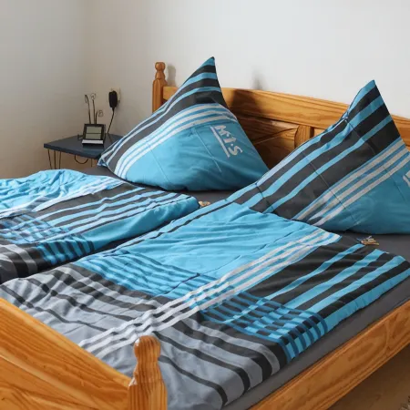 4 star holiday apartment on the ground floor and WiFi