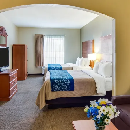 Comfort Inn & Suites El Dorado