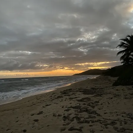 Best Views in Vieques!