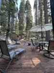 Cabin walking distance to Donner Lake