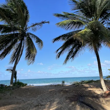 20% Off Garden Condo, Pool, Close to Beach & Gulf