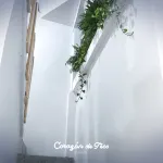 Corazon de Teco - Wifi