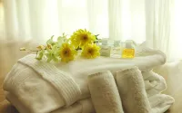 Hotel Casuarina @ Meru - spa