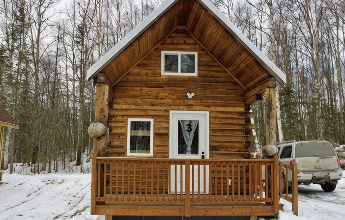 Petite Cabin With Ladder Loft