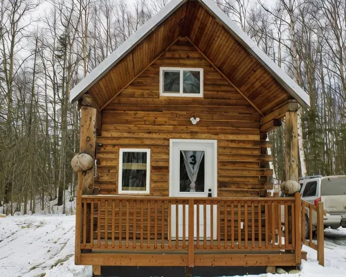 Petite Cabin With Ladder Loft Hotels in Fishhook