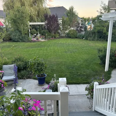 Newly Finished Walk-out basement in the perfect location!