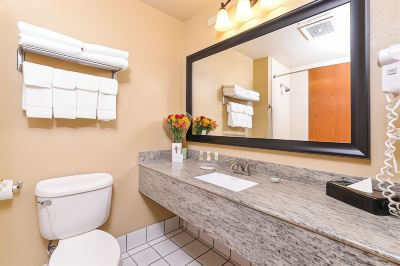 a modern bathroom with a large mirror , marble countertop , and toilet , along with various toiletries and flowers at Country Inn & Suites by Radisson, Watertown, SD
