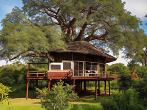 Elewana Tarangire Treetops