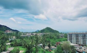 2. 아하드 스위트 ..