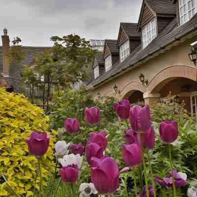 Quorn Grange Hotel Hotel Exterior