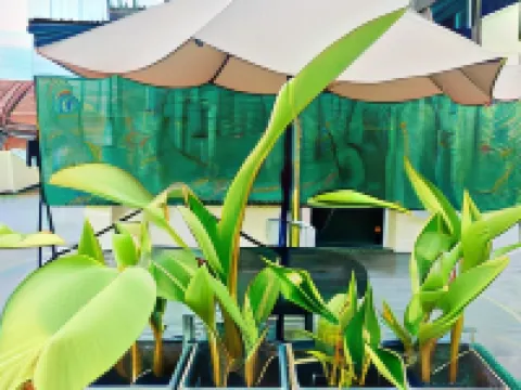 JPrime Apartelle Hotels in Cagayan