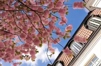 Uppsala City Hostel Hotels in Uppsala