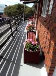 Redwood Lodge Motel Hotels in Levin