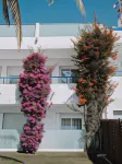 Hostal Las Gaviotas del Cabo Hotel a San Jose