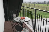 Bed & Breakfast Dvorec فنادق في سيلجي