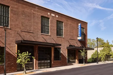 The Radical Asheville, Tapestry Collection by Hilton