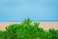Ruth Villa - Resorts