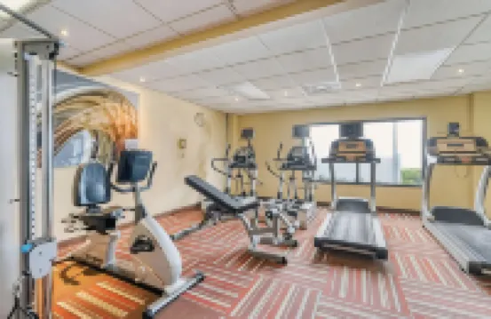 達拉斯愛田機場温德姆速 8 酒店