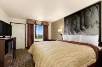 Super 8 by Wyndham Fort Worth TX