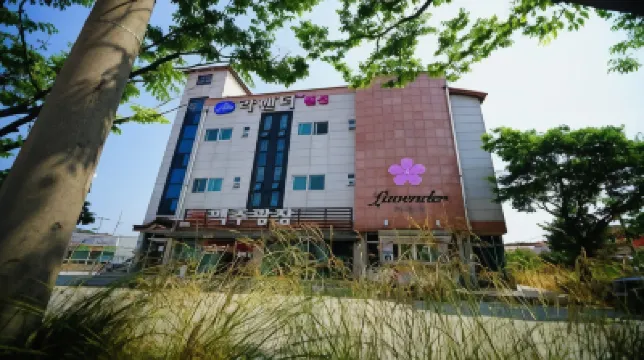 라벤더펜션 대명리조트 변산 아쿠아월드 주변 호텔