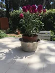 La Casa di Nataly
