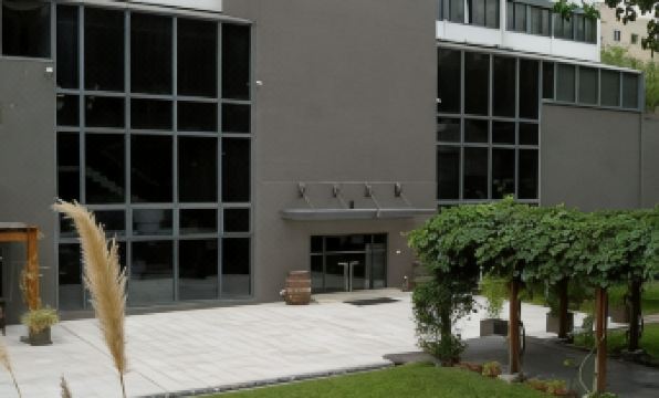 Hotel Raices Aconcagua