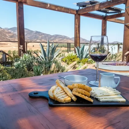 Ecovino Valle de Guadalupe