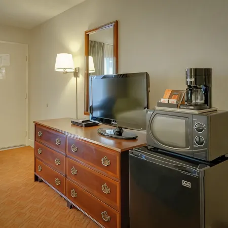 Vagabond Inn Executive SFO
