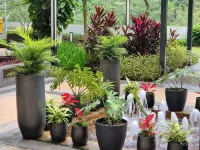 [Next to Lego Land] - Medini Family Suites for 3 - Pet friendly